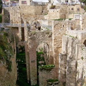 Meet your Posher, Suzanne